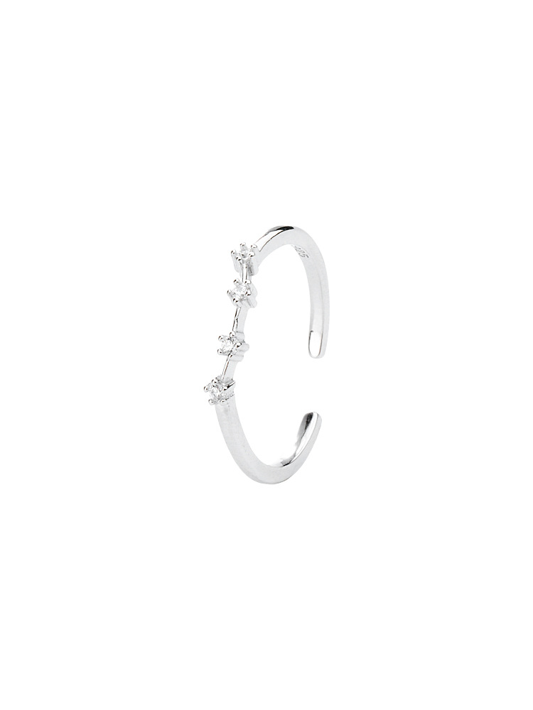 S925 Sterling Silver Twelve Constellations Ring