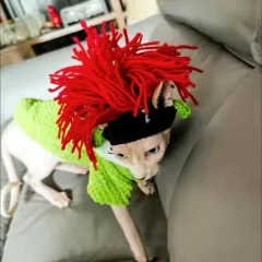 Wool Pet Hood Dogs And Cats Knitted Hat Prop Headdress - Red Hair And Black Background - View 1