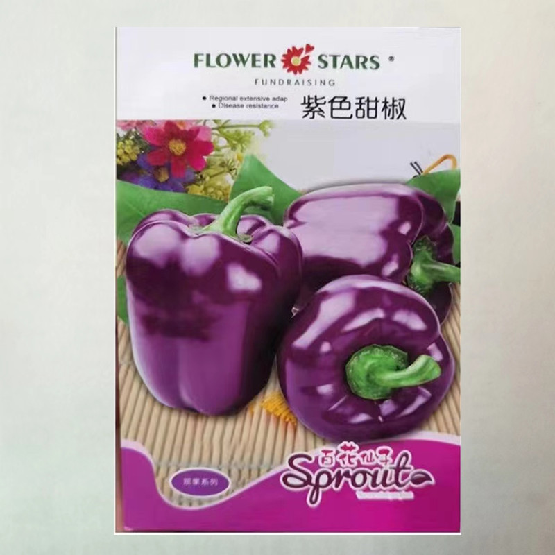 Purple Sweet Pepper Seeds