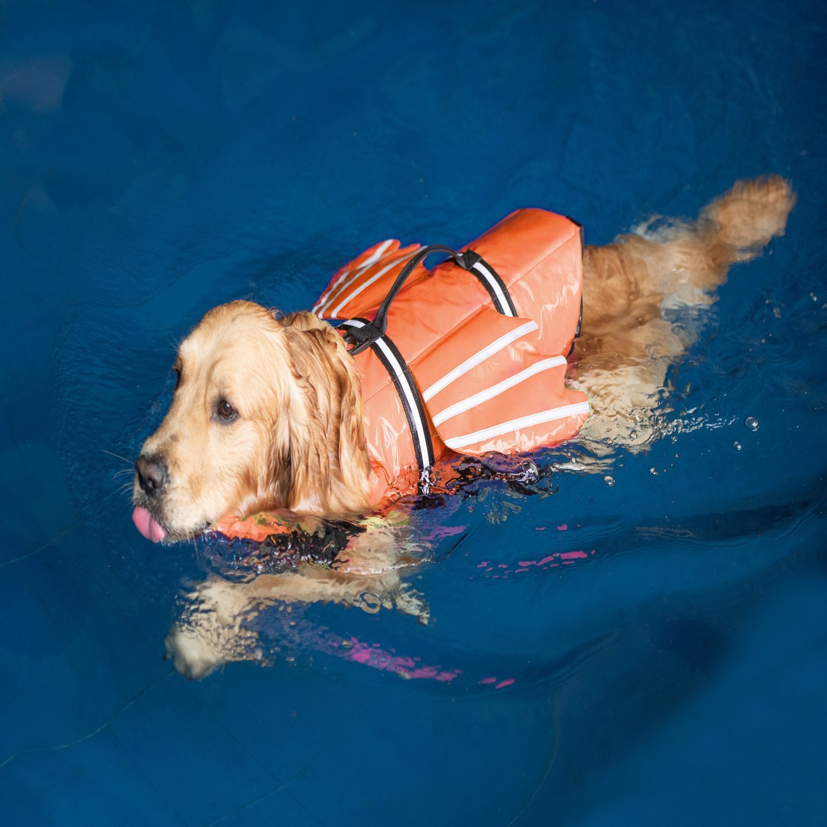 Reflective Outdoor Pet Life Jacket Dog Clothes