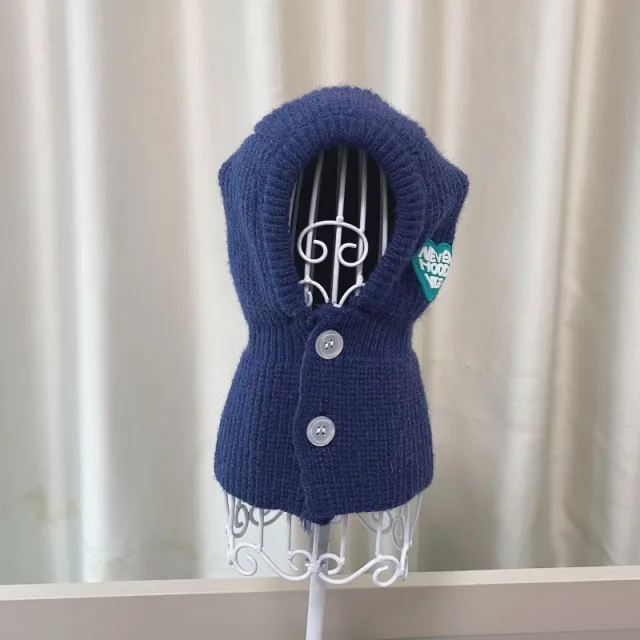 New Fashion Pet Autumn And Winter Knitted Hat Sapphire Blue - Shop at LoveMi