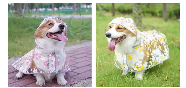 Pet It Tpu Floral Dog Cloak Raincoat Corgi Medium-sized Dog Universal Pet Clothes Dubin Samo Golden Retriever