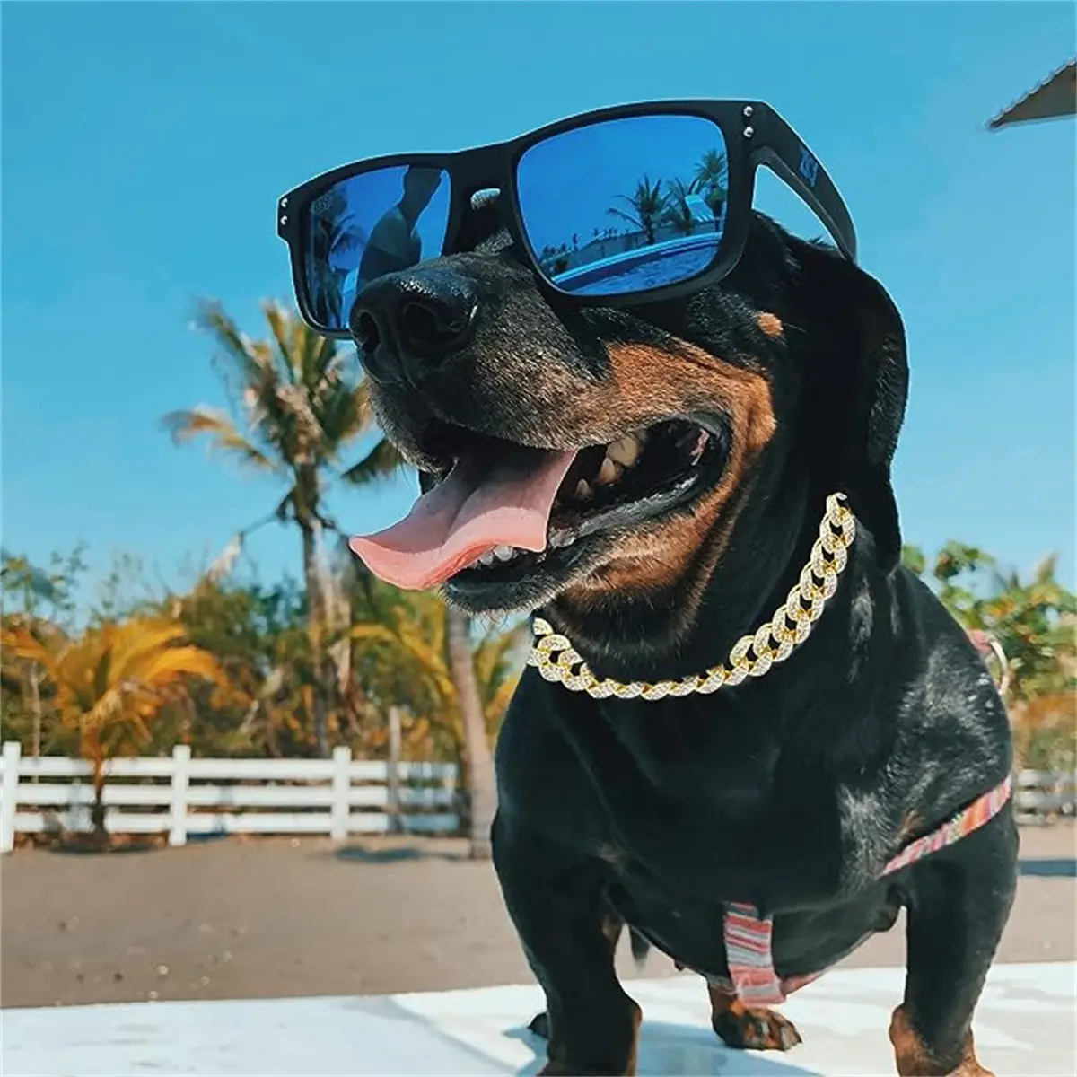 Pet Dog Collar Necklace