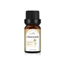 Chamomile Essential Oil