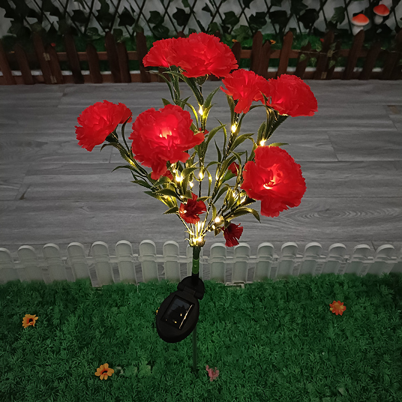 Red Carnation