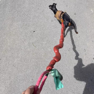 Sausage Hand Holding Rope