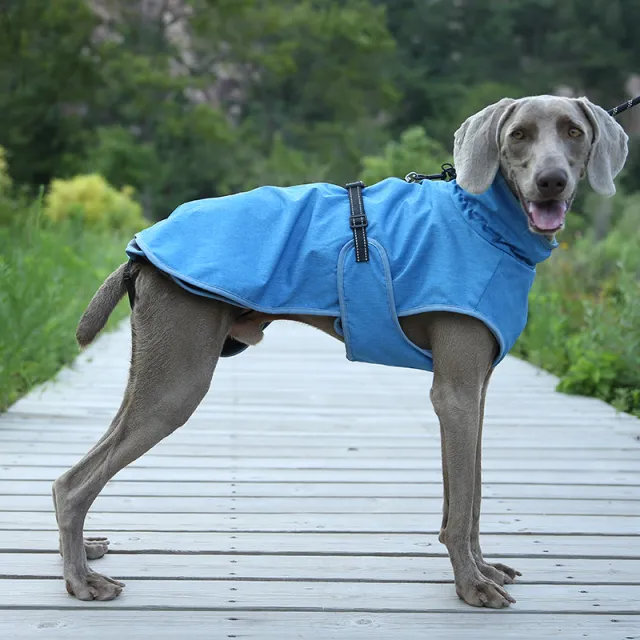 Pet Shell Jacket Dog Winter Outdoors Ski Suit Blue - Shop at LoveMi