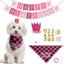 Pink Girl Hanging Flag Suit