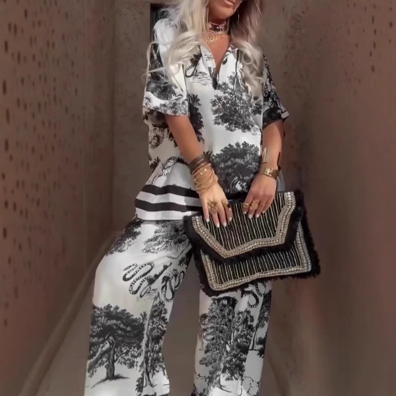 Casual V-neck Printed Short-sleeved Top Loose Wide Leg Pants 2-piece Set