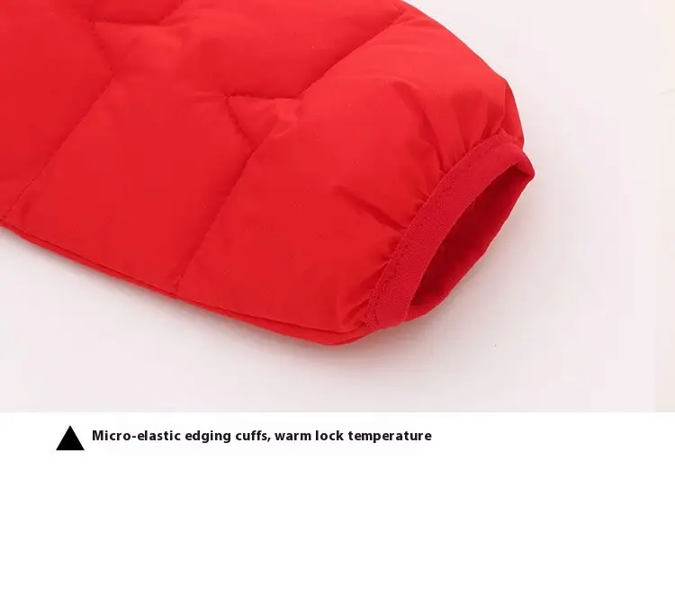 Foreign Trade Down Padded Jacket Cotton Padded Thin Hood Coat