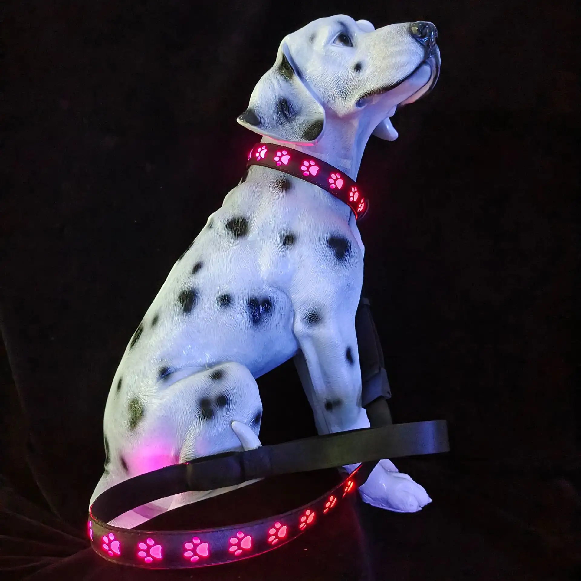 Creative Dog's Paw Printing 7 Colors In One LED Luminous Collar
