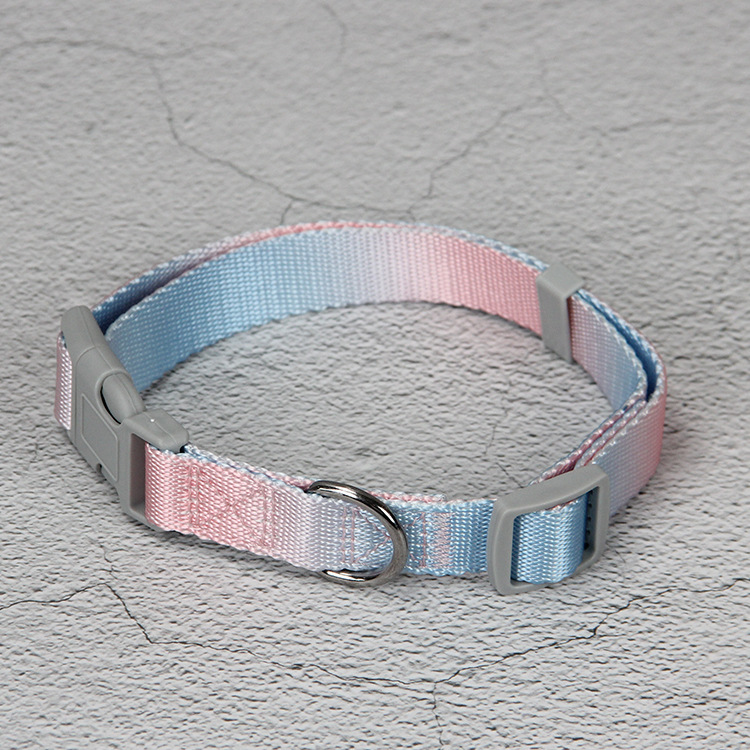 Single Collar Pink Blue