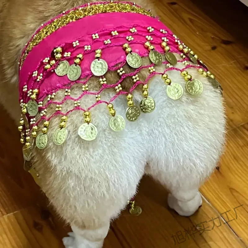 Belly Dance Fart Chain Sequined Waist Enthusiastic