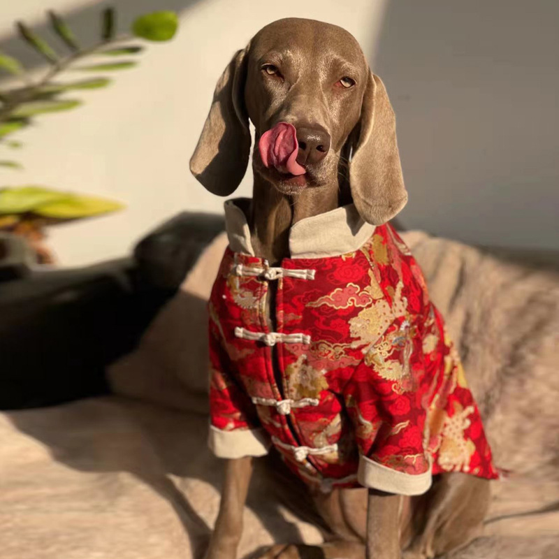 Festive Big Dog Clothes For The New Year