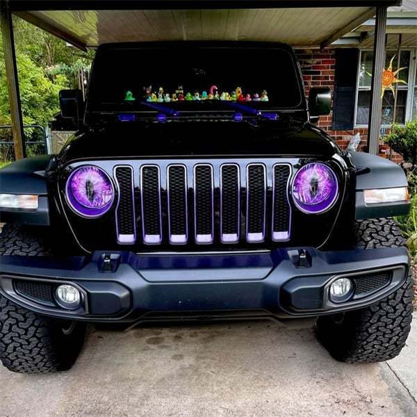 Purple Car Lights