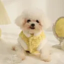 Rabbit Fur Coat Yellow