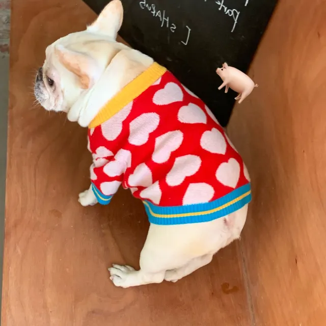 Pet Dog Clothes Autumn And Winter Warm Red Love - Shop at LoveMi