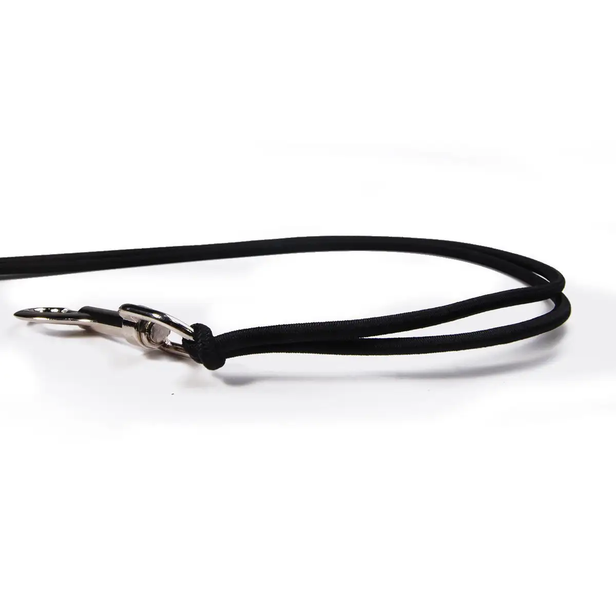 Bicycle Dog Walking Hand Holding Rope Pet