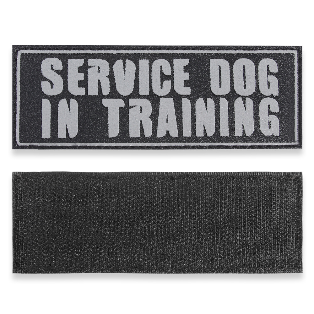 SERVICEDOGINTRAINING