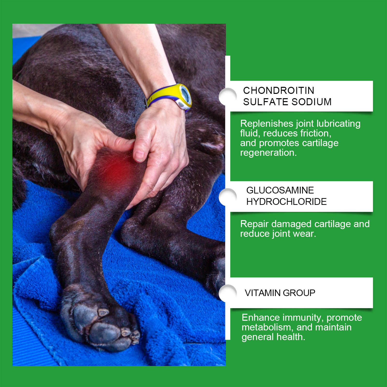 Canine Joint Care Tablets — foto 4