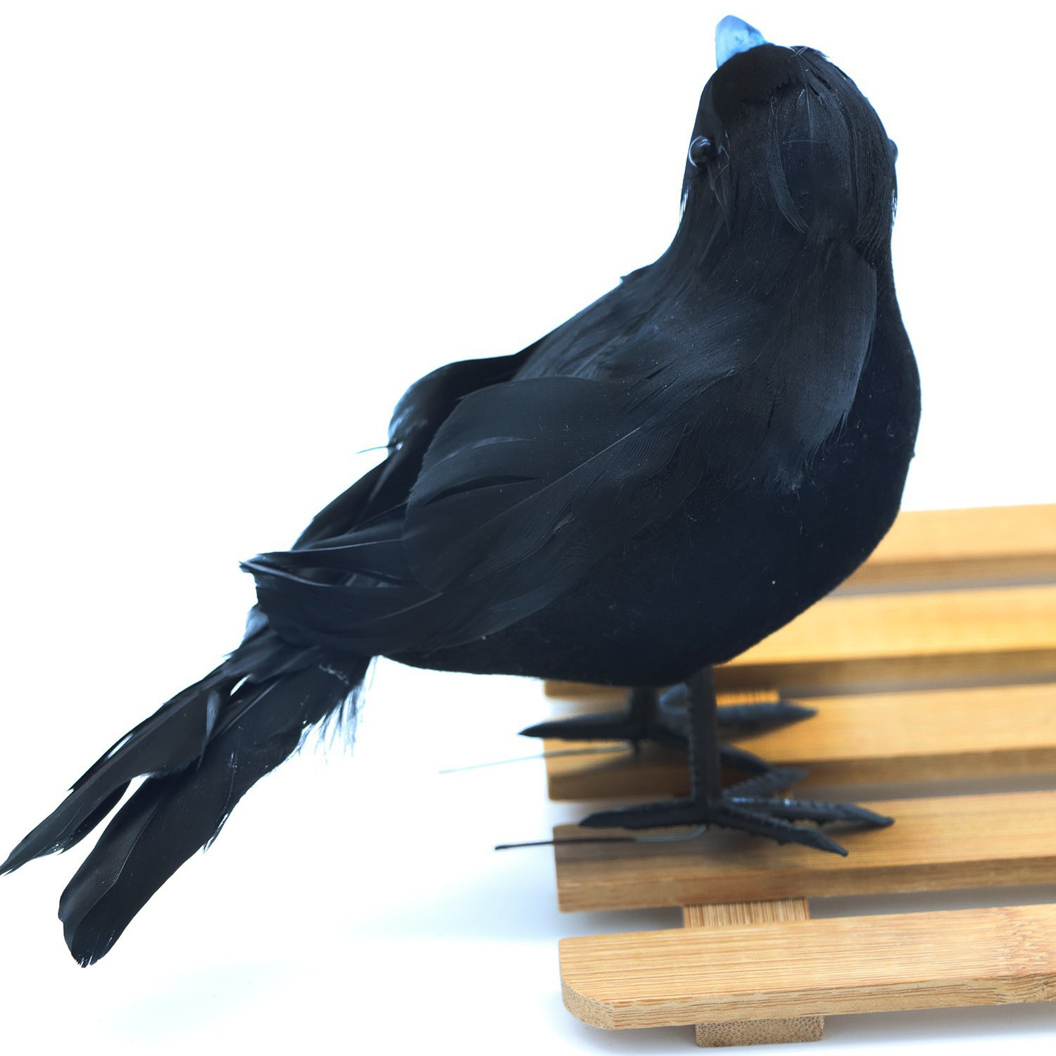 B Crooked Crow