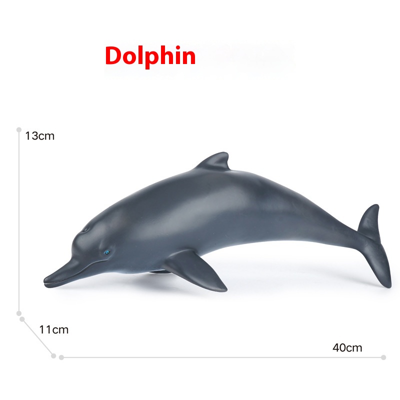 Dolphin