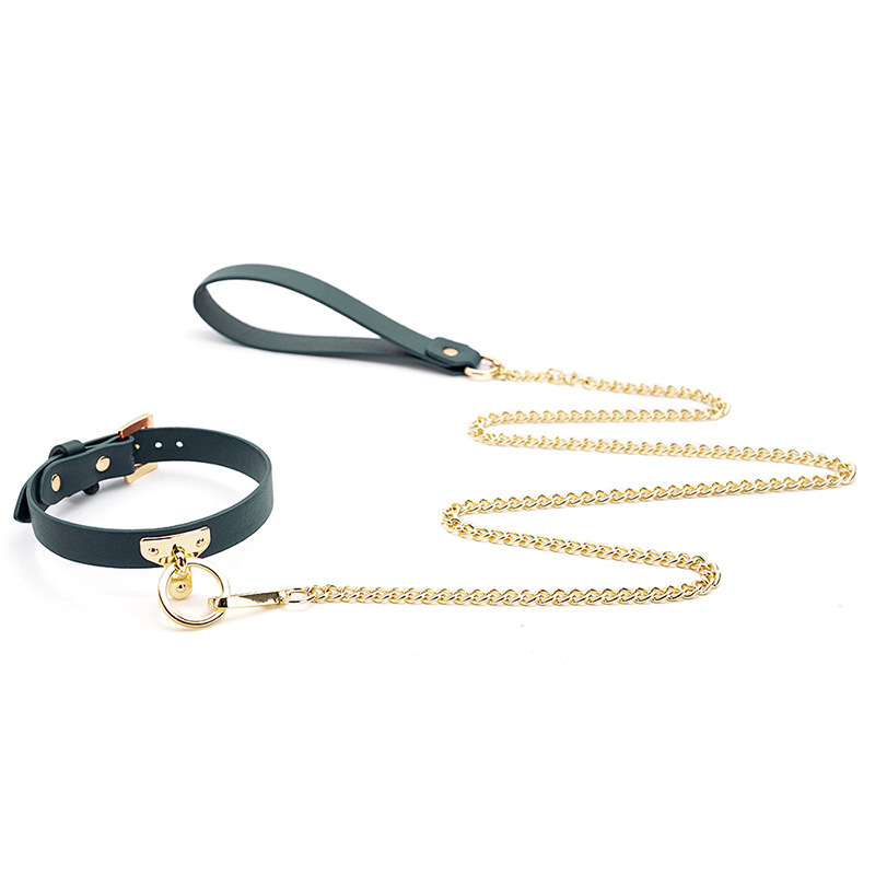 Chain Leash & Leather Collar Set