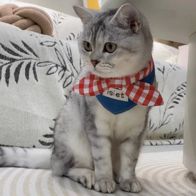 Cat Ins Scarf Saliva Pet Cute Bow Blue - Shop at LoveMi