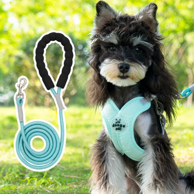 New Pet Vest Hand Holding Rope Green - Shop at LoveMi