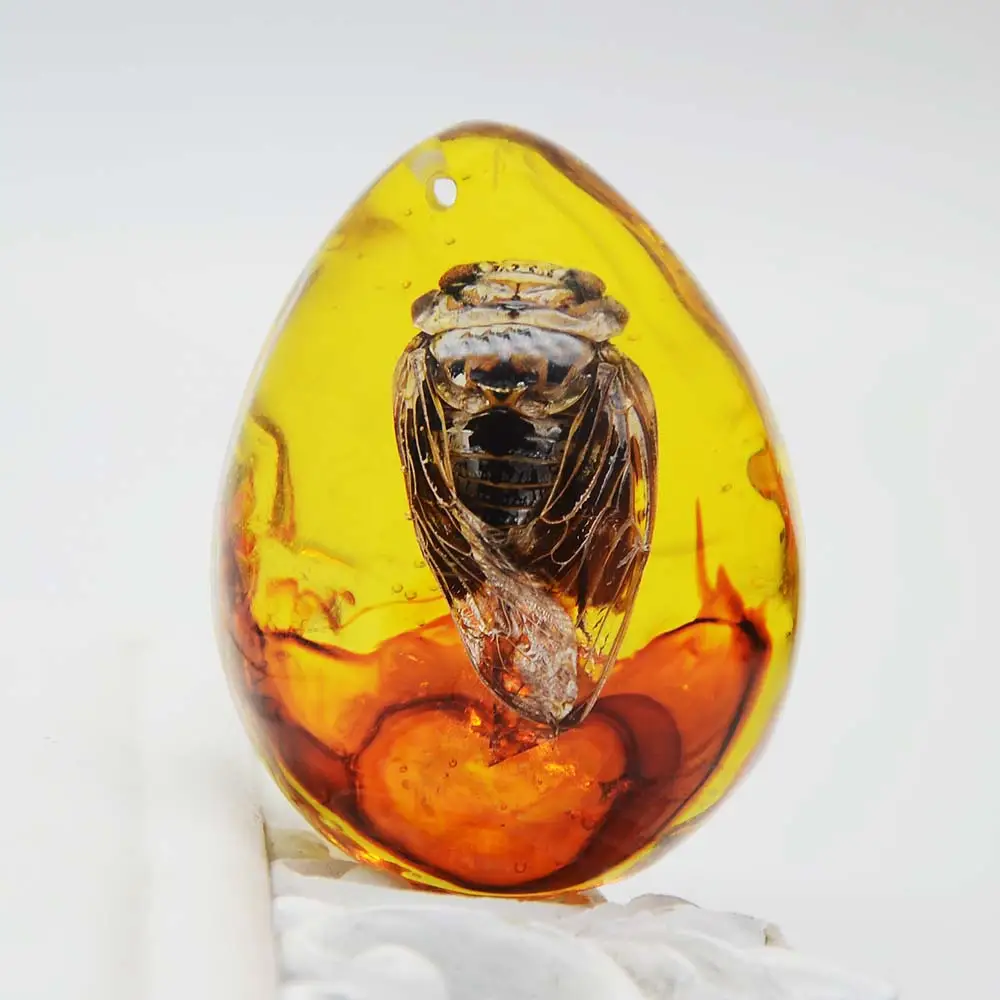 Amber Insect Beeswax Pendant Insect Specimen Drop-shaped Amber Pendant