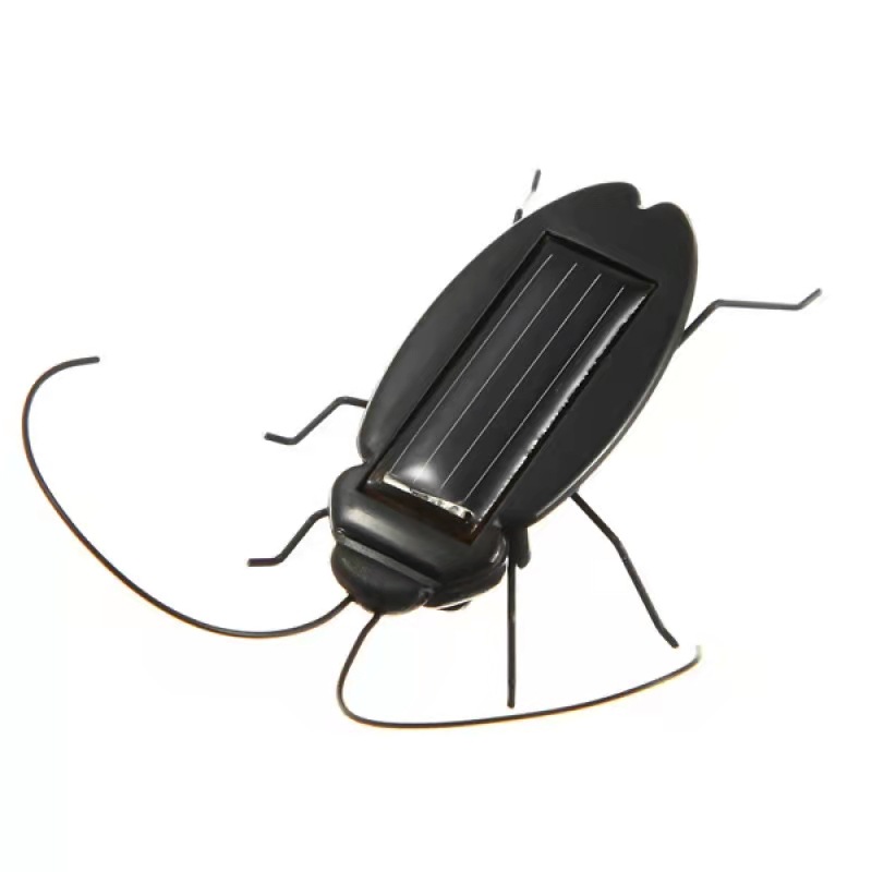 Cockroach