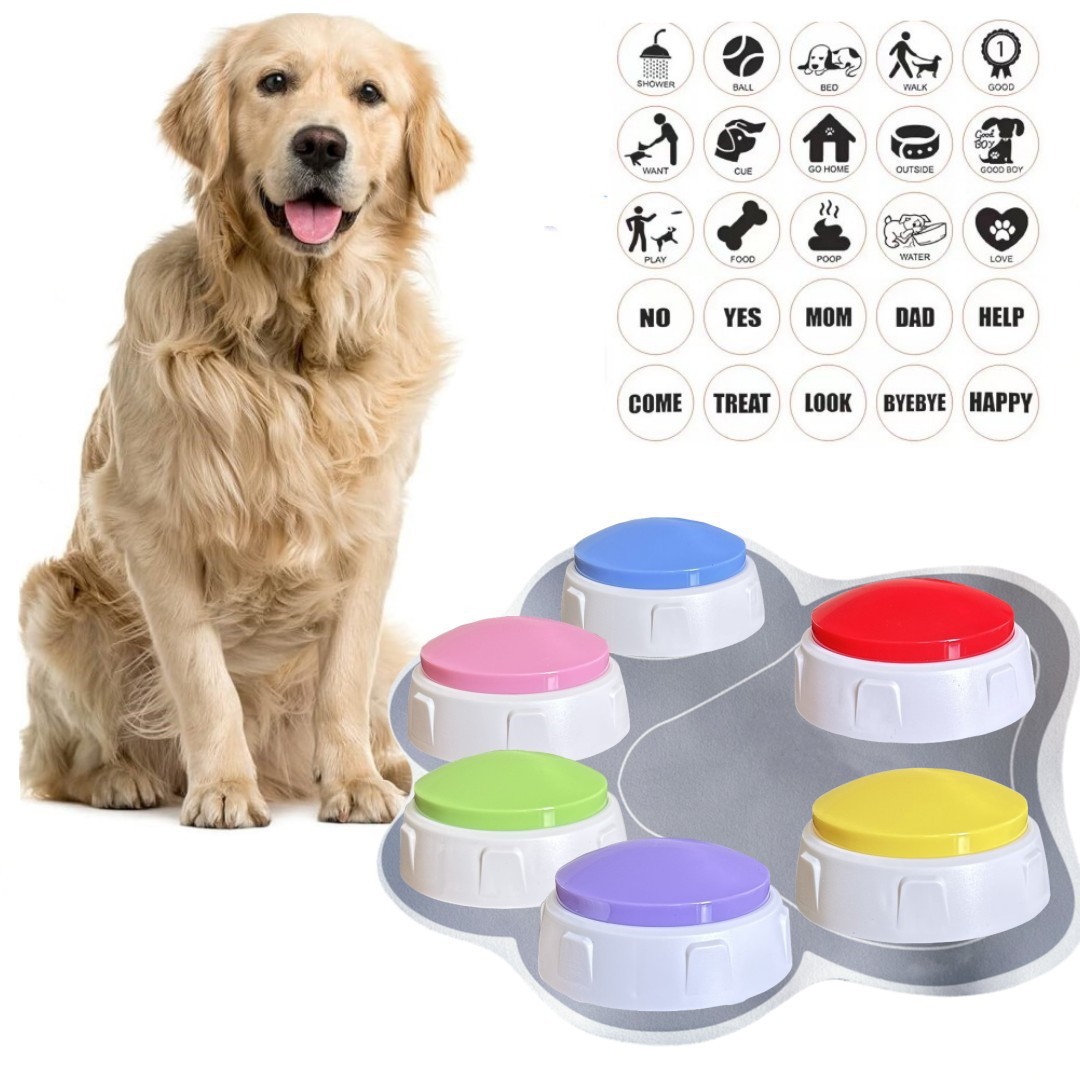 Home-use Rechargeable Pet Toy Button Trainer 10