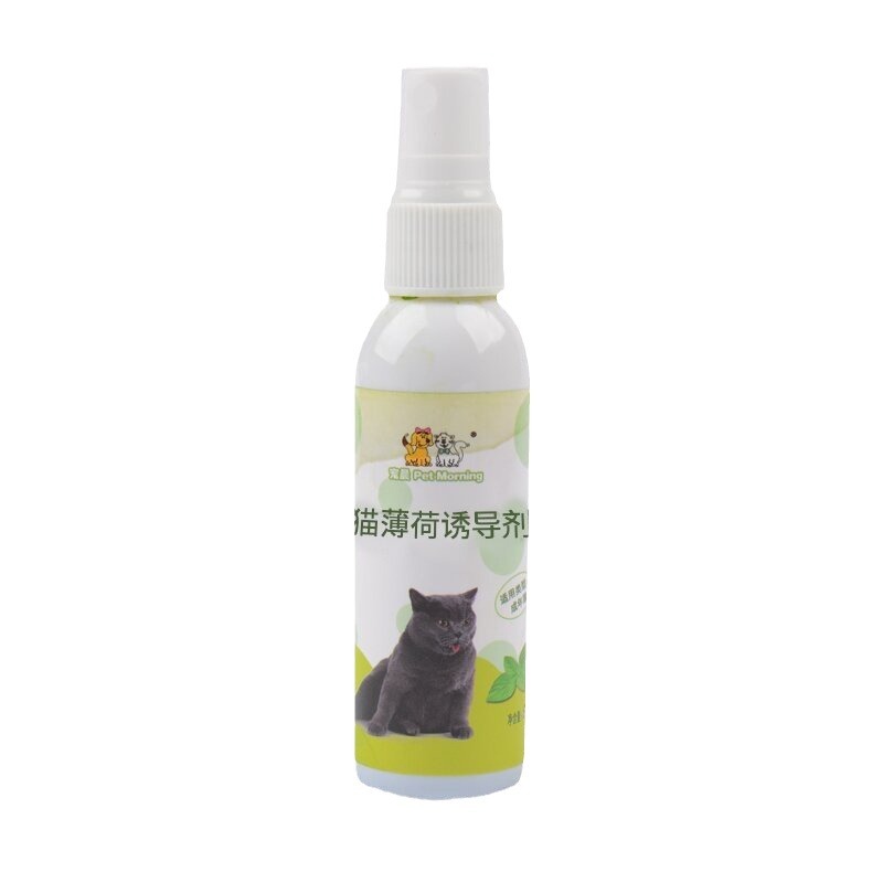 Pet Supplies Cat Scratch Board Cat Teaser Toy Mint Spray Inducer 50Ml - Shop at LoveMi