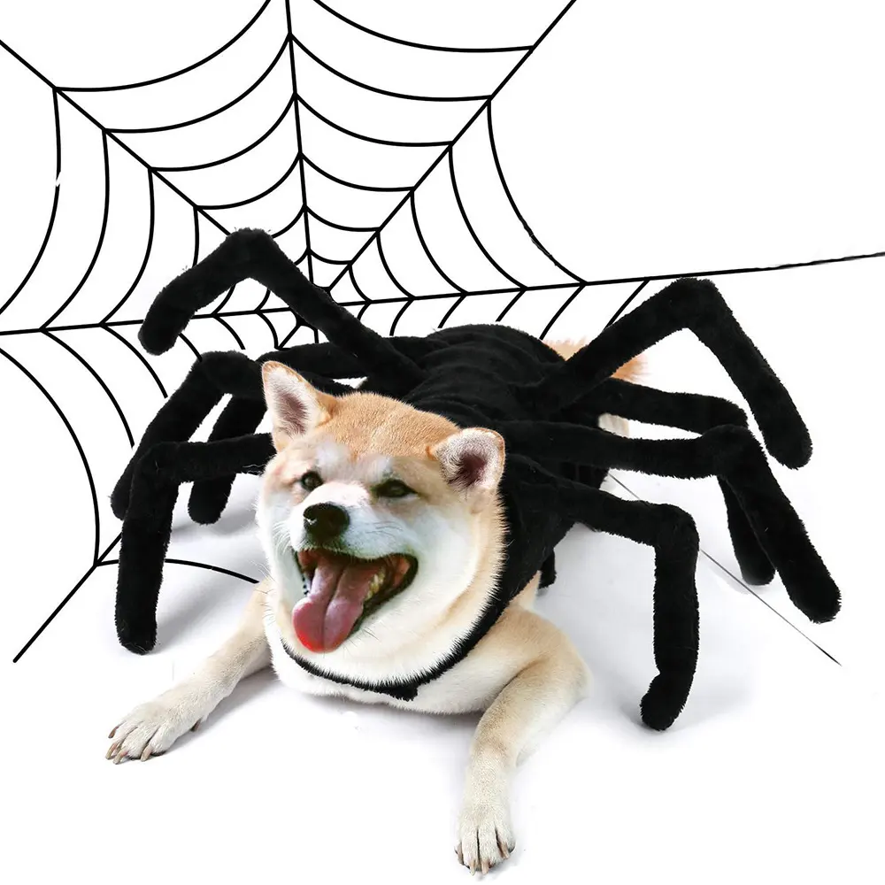 Creative Pets Funny Spiders Chest and Back