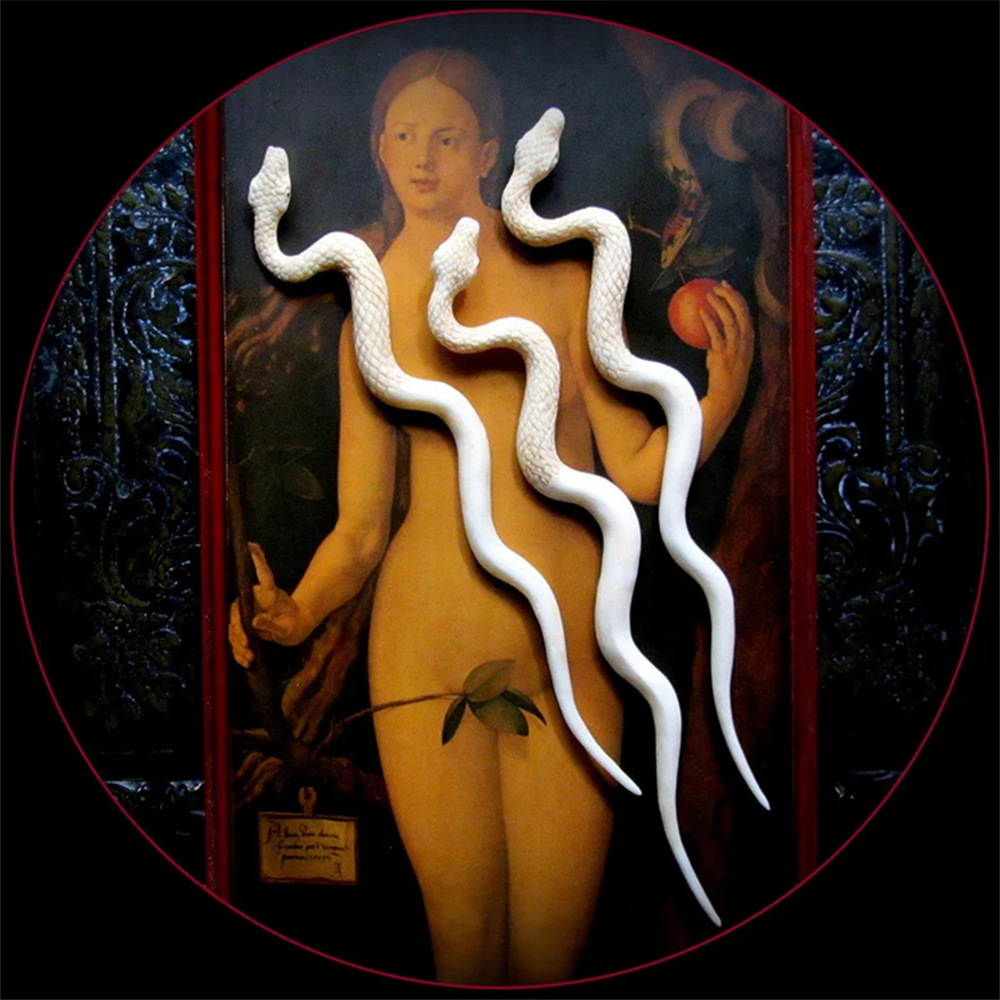 Simple Hair Clasp New Dark Goth Headdress