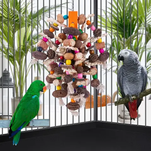 Large Parrots Nibbling on Toy Fruit Skewers