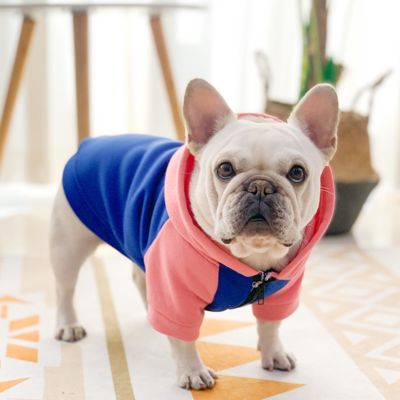 Sapphire Blue Pink Hoodie