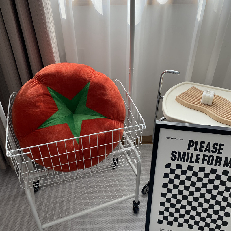 Title 10, Modern Minimalist Thick Round Tomato Tomato Pillow