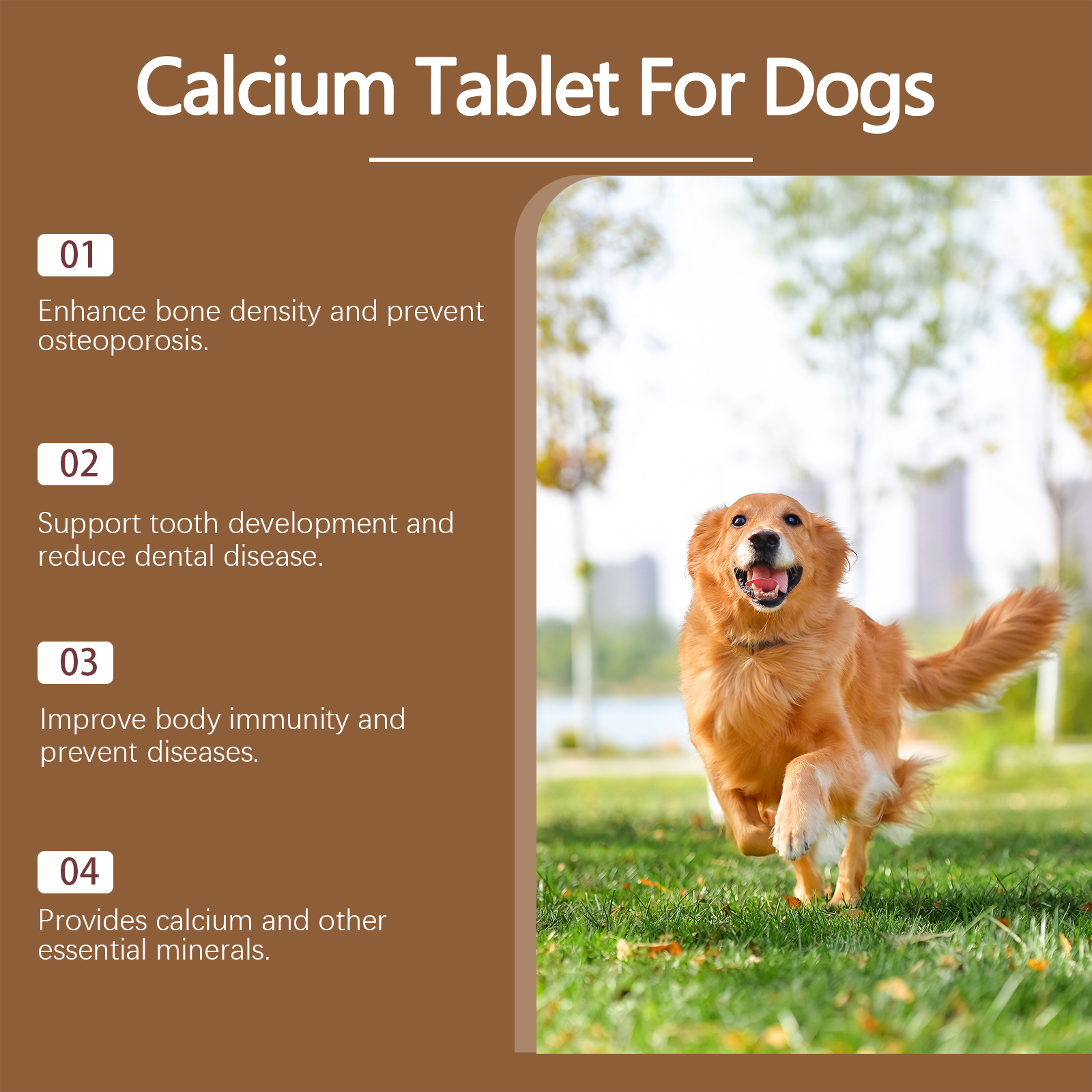 Pet Vitamin Supplement For A Healthy Nutritious Dietcalcium Tablets — foto 6