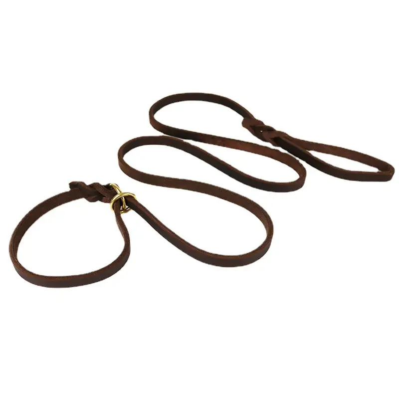 Pet Integrated Leather Hand Holding Rope Training Pet Leash