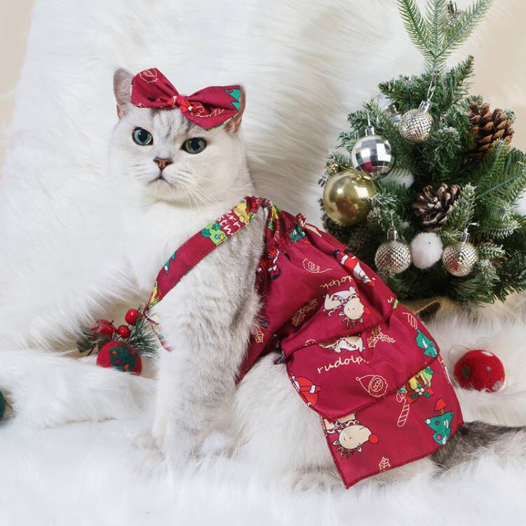 Wine Red Christmas Dress