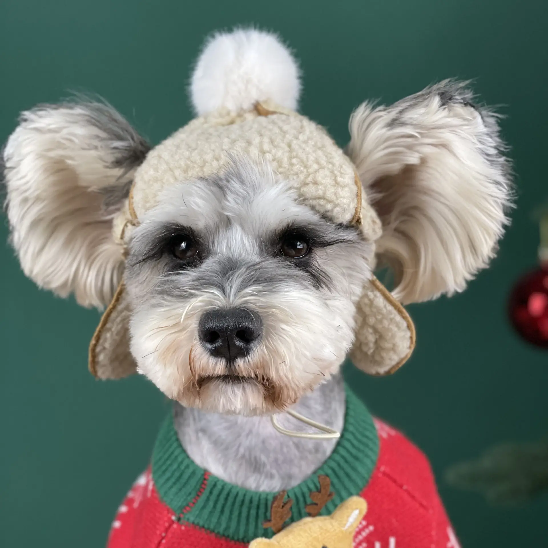 Dog Accessories Warm Pet Supplies Schnauzer Teddy