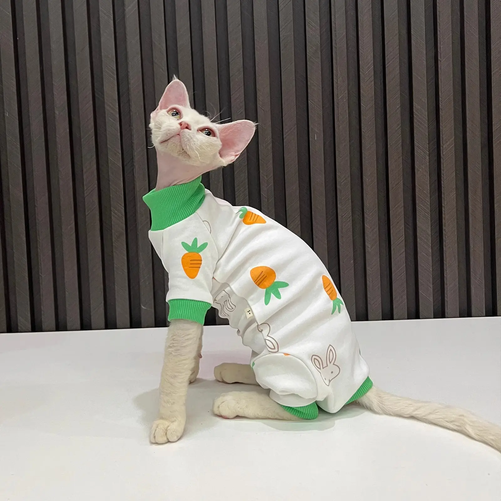 Spring And Autumn Hairless Cat All-inclusive Anti-lint