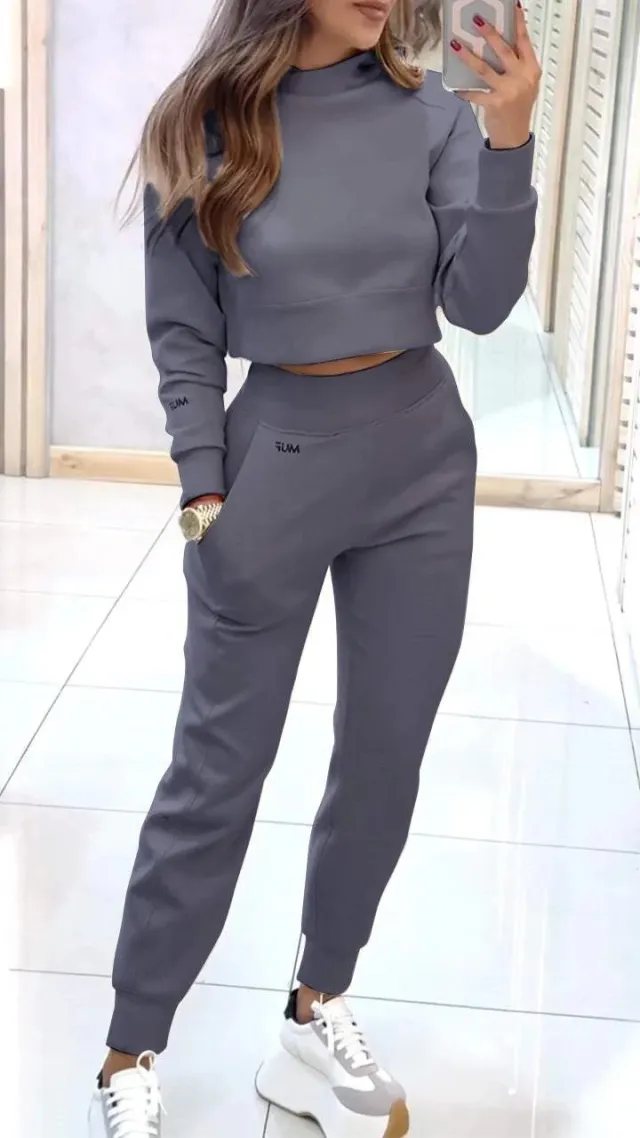 Stand Collar Sports Suit Fashion Pullover Long sleeves Short Top And Slim Trousers With Pockets Solid Outfits Women's Clothing Gray - Shop at LoveMi