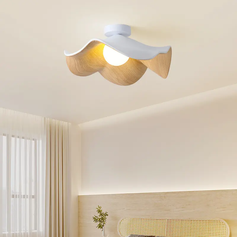 Modern Minimalist Walnut Grain Color Room Eye
