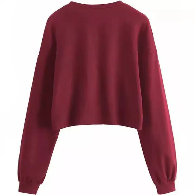 Women's Autumn And Winter New Solid Color With Fur Loose O neck Short Sweater Wine Red - Shop at LoveMi