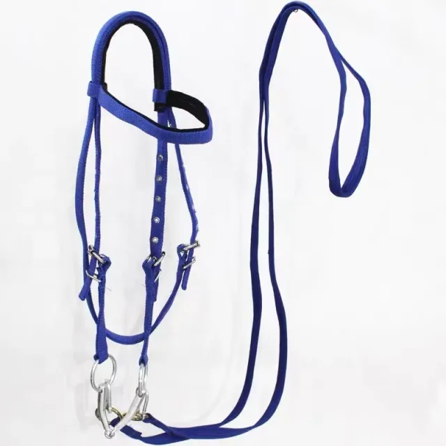Horse Halter Rope Riding Hose Bridle Fiber Blue Small Size - Shop at LoveMi