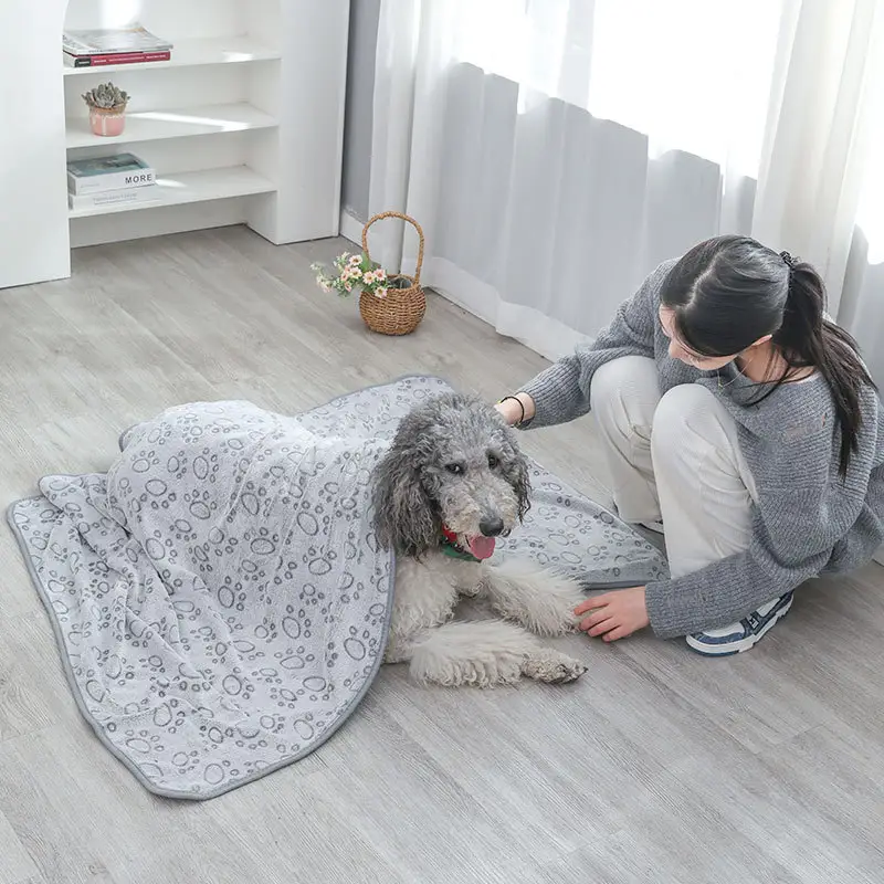 Gray Dog Sleeping Blanket