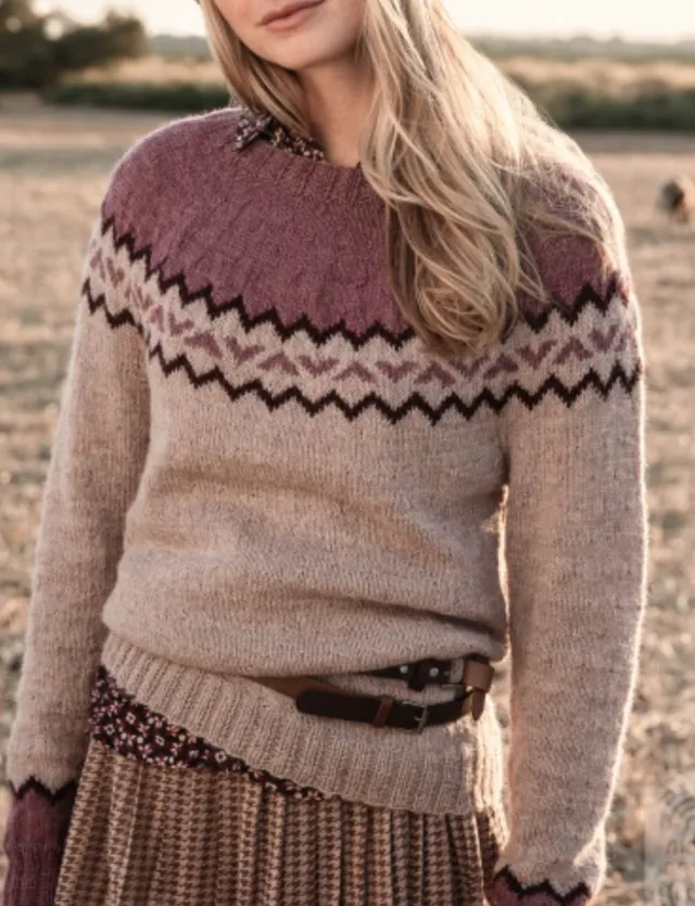 Women's Round neck Color block Loose Sweater Hikoi 5417447 Xxxxl - Shop at LoveMi