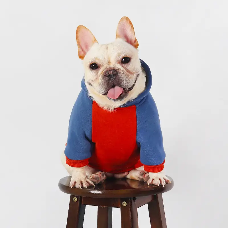 Autumn And Winter New Pet Small And Medium-sized Dogs Teddy Bichon Jarre Aero Bull Corgi Clothes